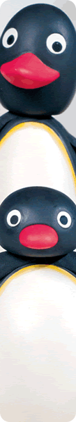 Network Growth Opoprtunities For A Pingu's English Master Licensee