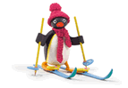 Pingu's English Master Licence Business Opportunity